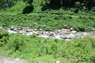 July 02 2008