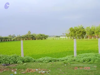 October 20 2006