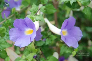 July 08 2010