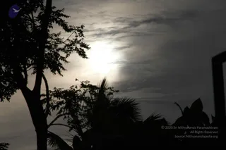 July 31 2012