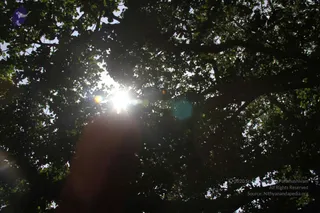 September 13 2013