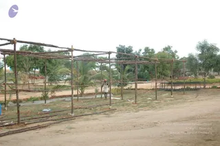 May 21 2007