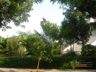 October 12 2006