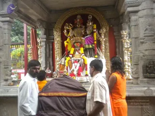 July 22 2010