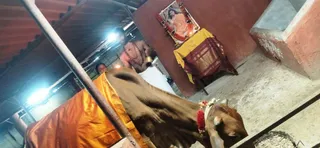 Jan 9 2022 sripuram