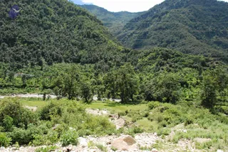 July 07 2008