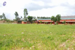 July 19 2010