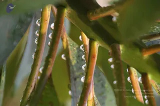 October 09 2011