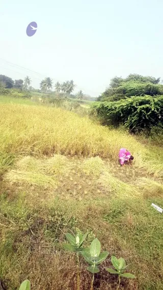 20211227 WhatsApp Image 2022-01-23 at 10.11.51 AM 11.jpg