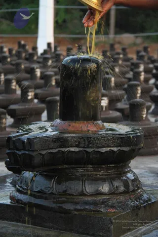20110926 Photo 1093 1IJoVwTYnW3 dx0KB8ci Hhi-QzUDF9w2.JPG