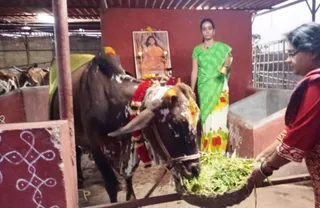December 26 2021 sripuram Sarvajanpeetam