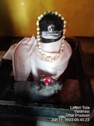 KASHI SARVAJNAPEETAM on 6/11/2022