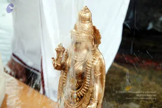 July 05 2010