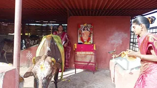 Jan 5 2022 sripuram