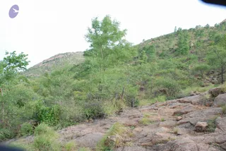 August 03 2008