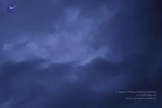 August 10 2011