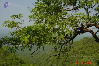 June 16 2004 - Rishikesh-Guptakashi-Uttarkashi