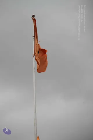 August 03 2013