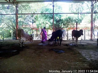 January 17 2022