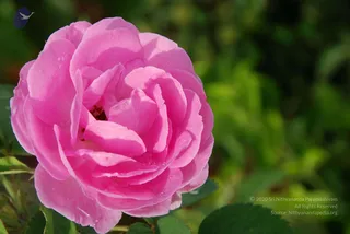 July 07 2010