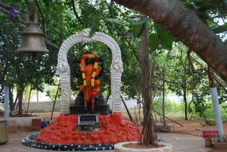 July 08 2010