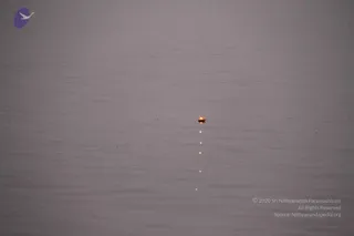 February 13 2013