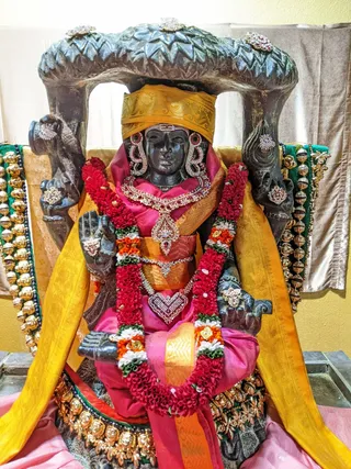 Photo 9918422