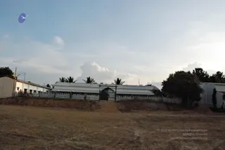 November 20 2008