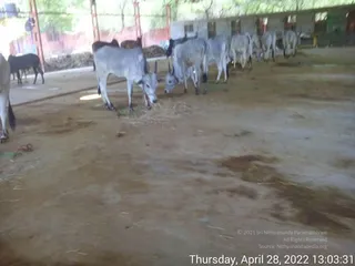 April 28 2022
