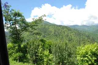 July 02 2008
