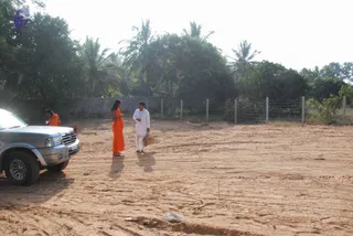 January 02 2010