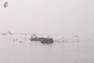 February 13 2013