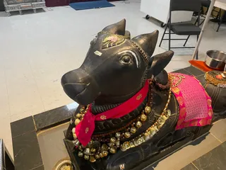 Photo 9918518
