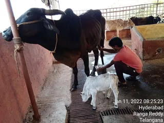 Jan 11 2022 sripuram