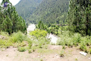 July 01 2008