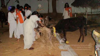 January 16 2008