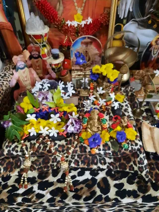 Photo 9918555