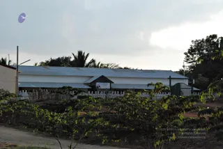 November 20 2008