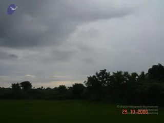 October 29 2006