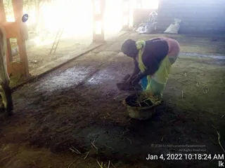 January 04 2022
