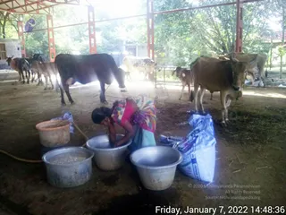 January 07 2022
