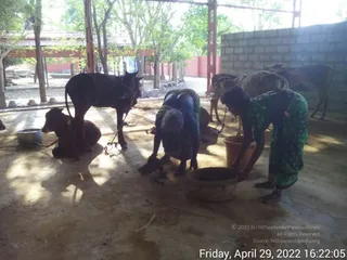 April 29 2022