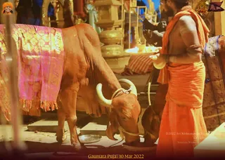 ADIKAILASA on 3/10/2022
