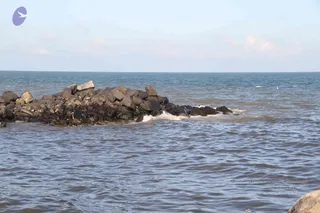 January 04 2012