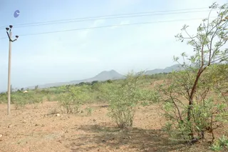 1978 - Tiruvannamalai - InnerGirivala