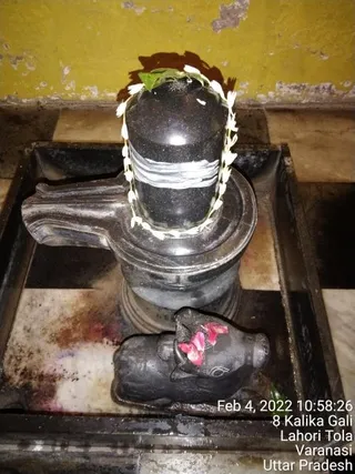 KAILASA India Uttar Pradesh Kashi 221001 on 2/4/2022
