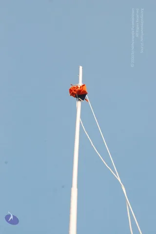 20090803 Photo 1124 1izlpIYRg1dJvkYaxYVpopg7V- hLM9G9.JPG