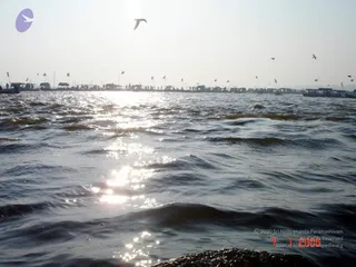 January 08 2006