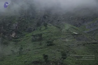 July 08 2008
