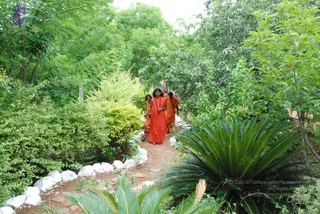 July 27 2008